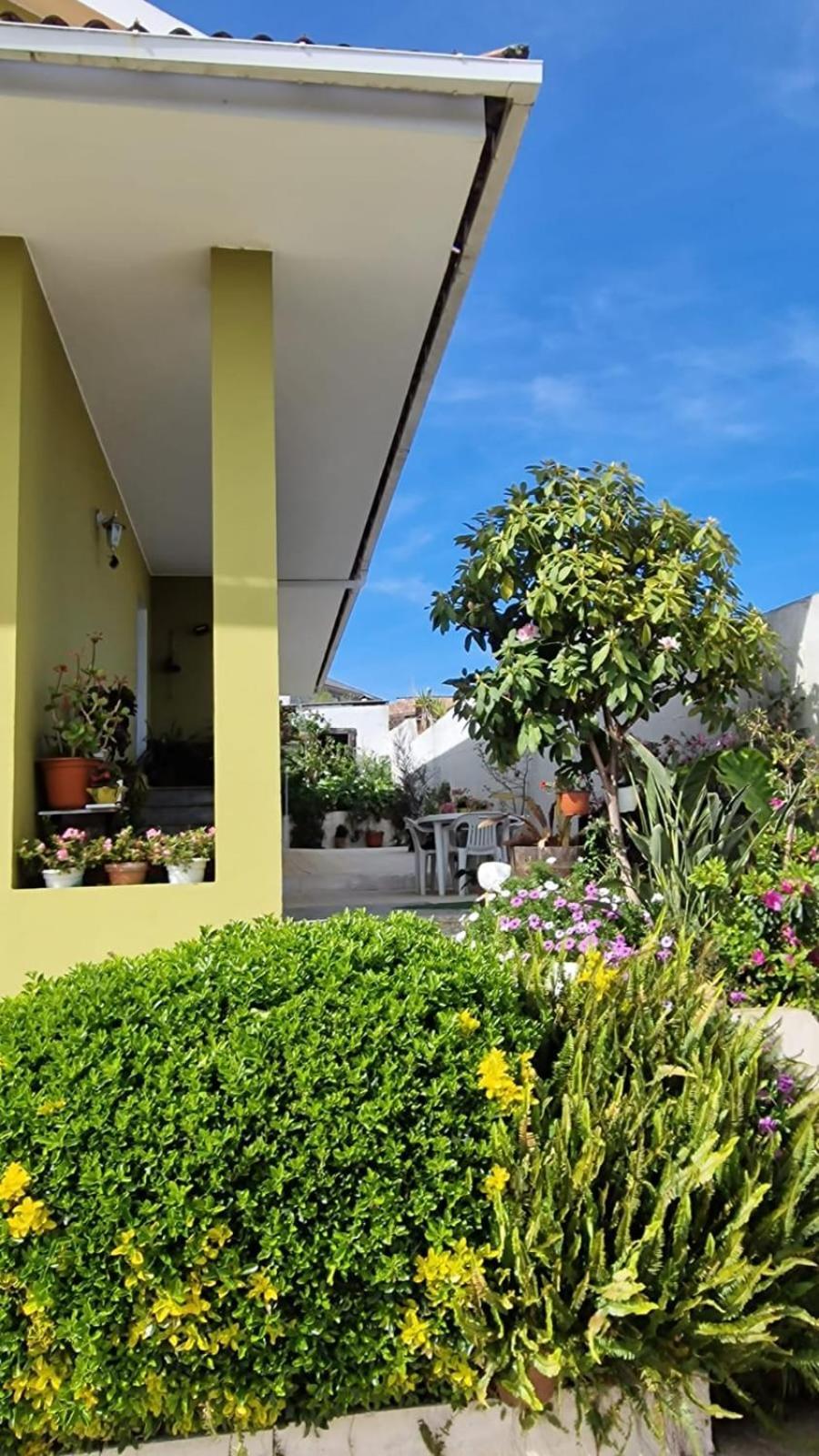 Corazon Do Val Da Lourina-Area Vigo Διαμέρισμα Ποντεβέντρα Εξωτερικό φωτογραφία